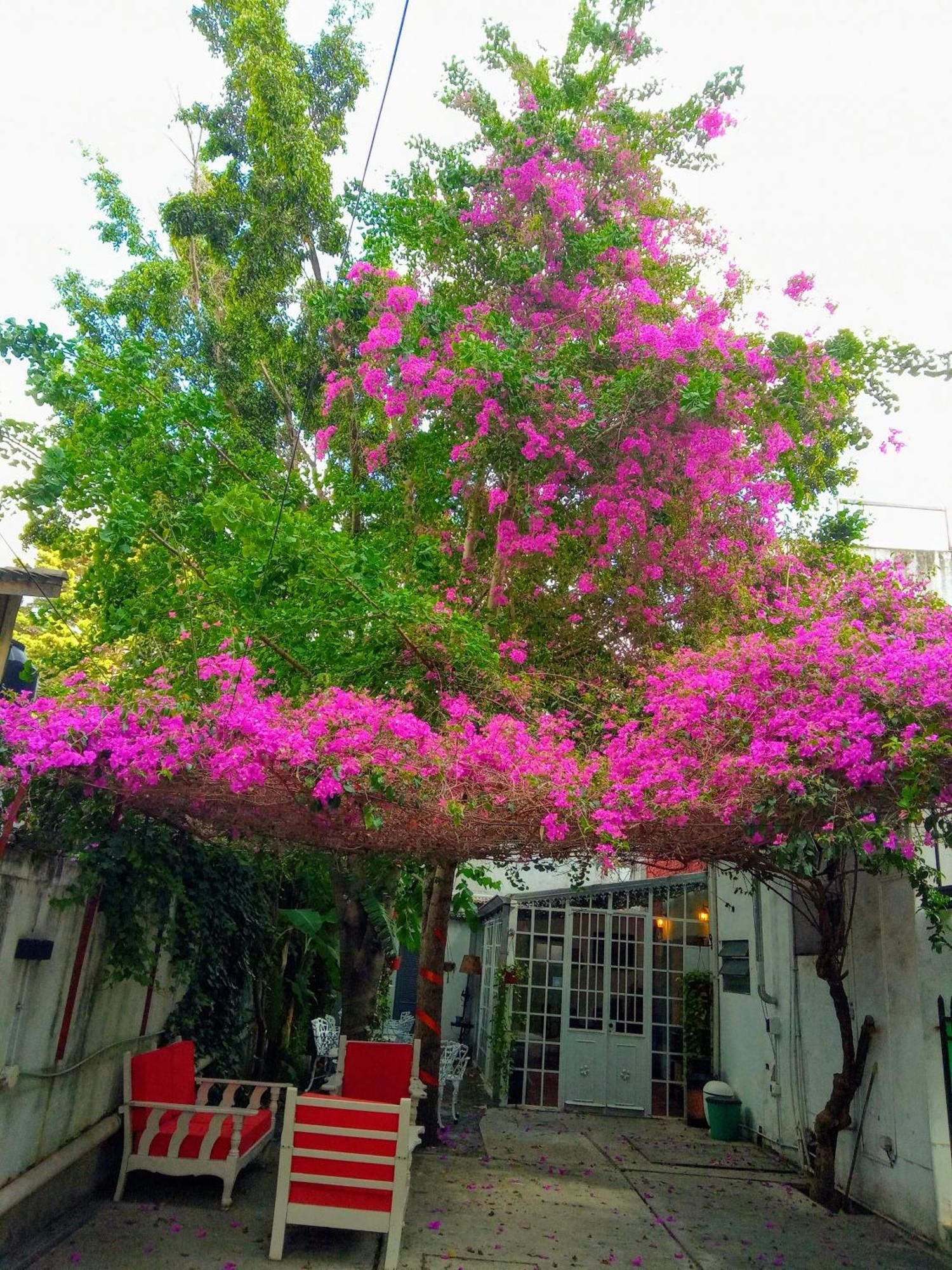 Hotel Boutique Casablanca Adrogue 外观 照片